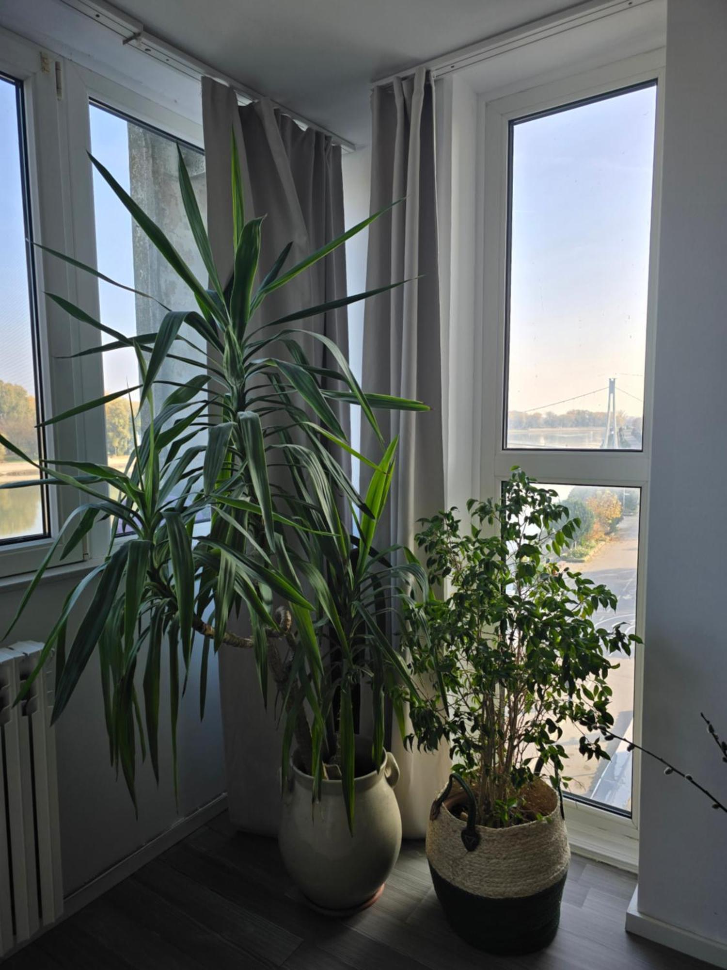 Riverview Apartment Ossero Esterno foto